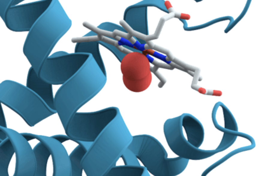 Die Welt der Enzyme equalance Naturheilpraxis in München