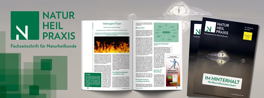 Silent-Inflammation_Verborgene Feuer